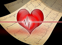 Новые данные о регенерации клеток сердечной мышцы
