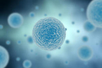 Нобелевская премия по физиологии и медицине 2012 г. присуждена за открытие индуцированных плюрипотентных стволовых клеток (иПСК)