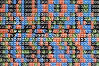 Разработана новая программа сверхбыстрого анализа геномов