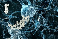 Новый подход к разработке лекарств против болезни Альцгеймера