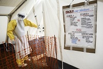 Вспышка лихорадки Эбола в Западной Африке заставила поднять вопрос разработки эффективного лечения