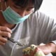 Биологи Китая разрабывают вакцину от свиного стрептококка