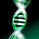 Новый метод доставки ДНК в эмбриональные стволовые клетки