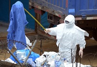 Переливание крови названо приоритетным методом лечения лихорадки Эбола