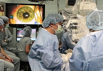 FDA одобрило первый имплантат сетчатки