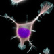 Активация стволовых клеток нервной ткани возможна