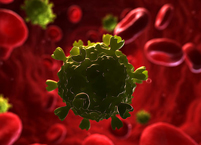 Уникальная особенность ВИЧ поможет создать новые противовирусные антитела