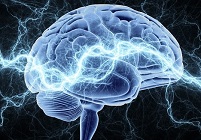 Найдены варианты гена, отвечающие за возрастное ухудшение памяти