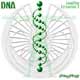 Наноэлектромеханические системы для взвешивания ДНК