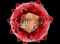 Новый способ борьбы с вирусом гепатита С